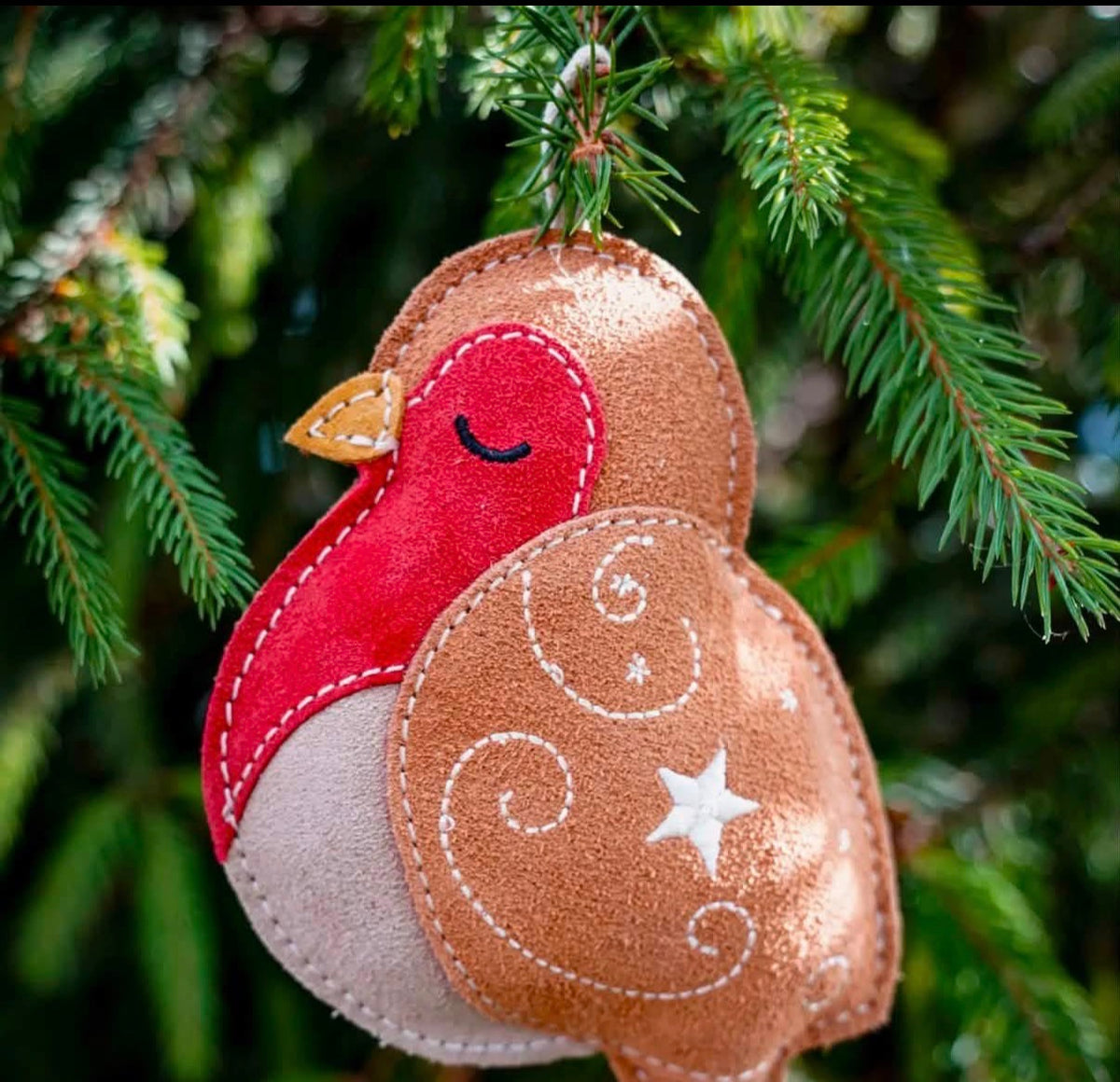 Cinnamon the Christmas Robin