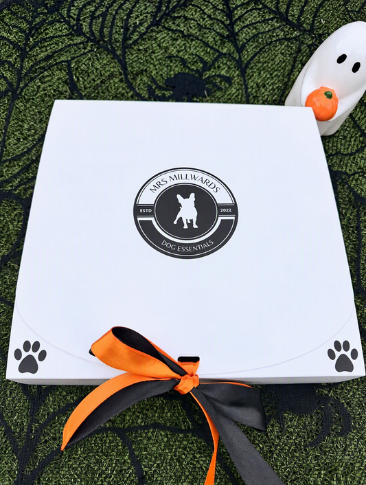 Spook-Tacular Treat Box