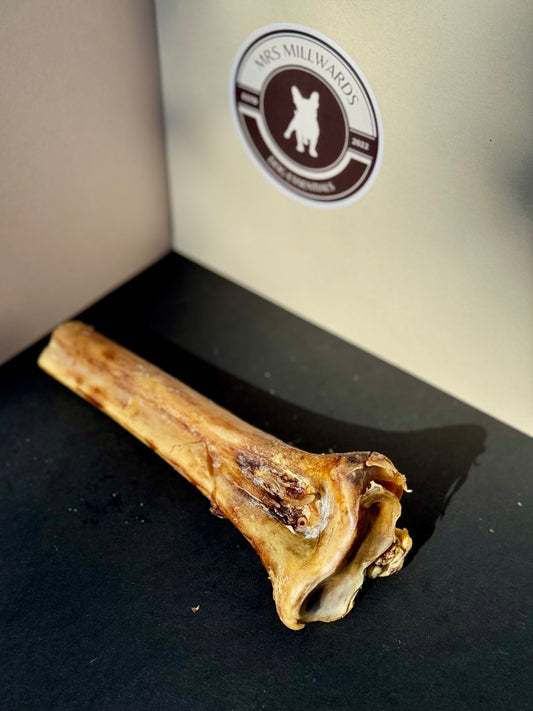 Ostrich Bones