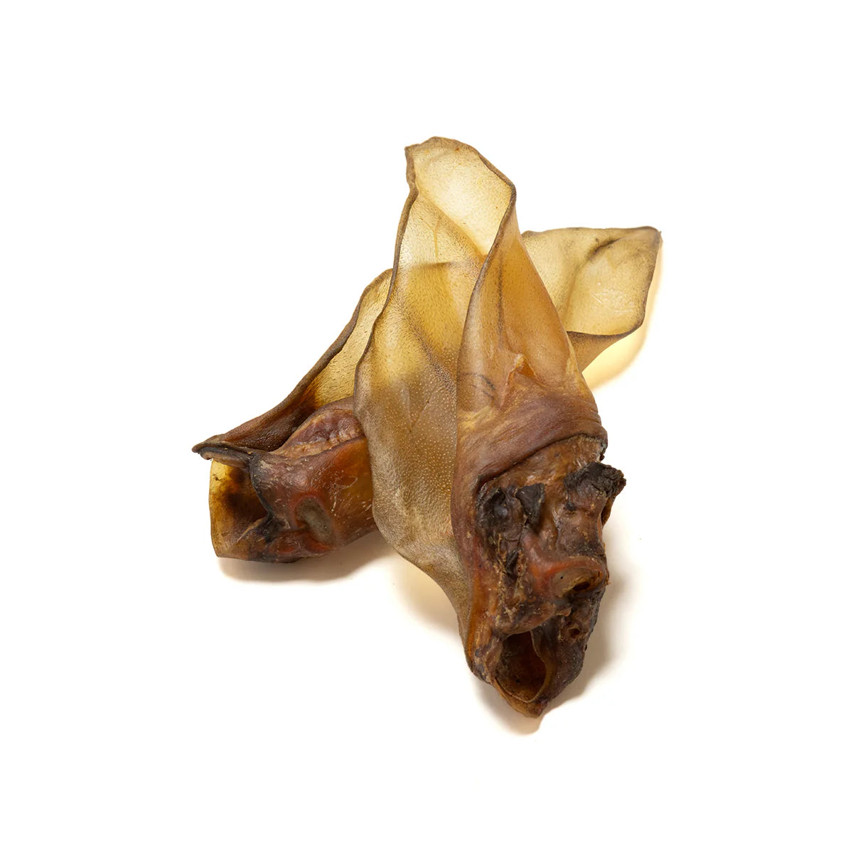 Large Cow Ears- No Hair