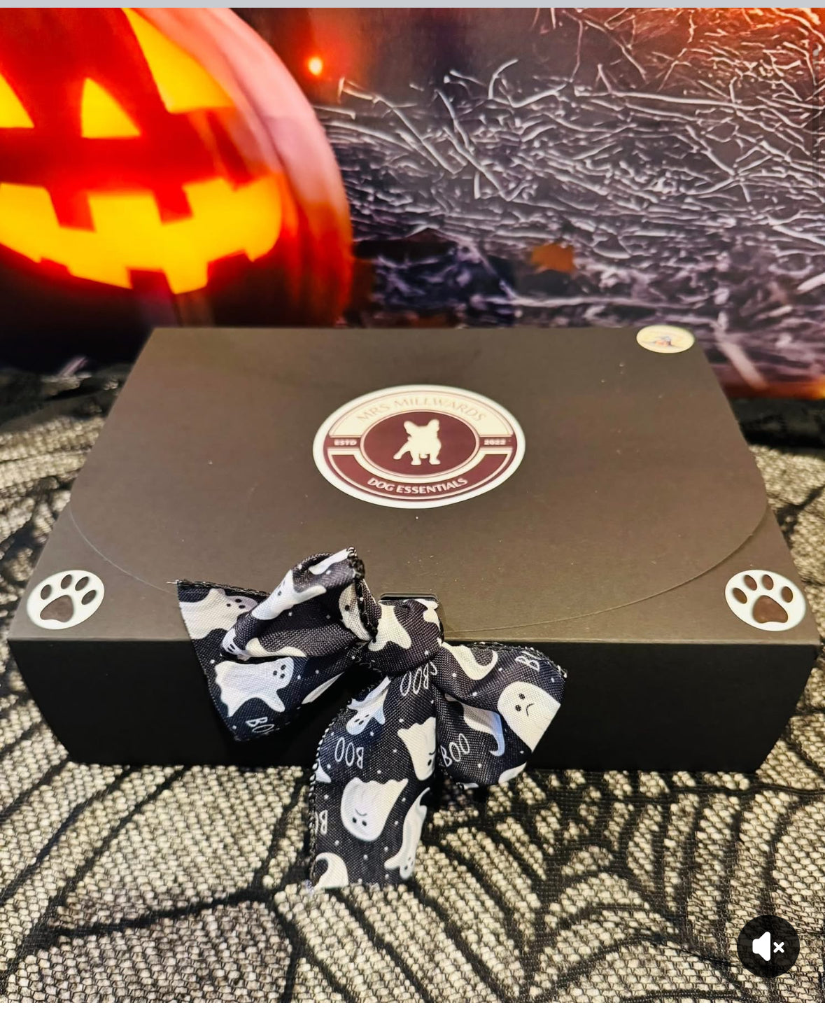 Fang-tastic Treat Box