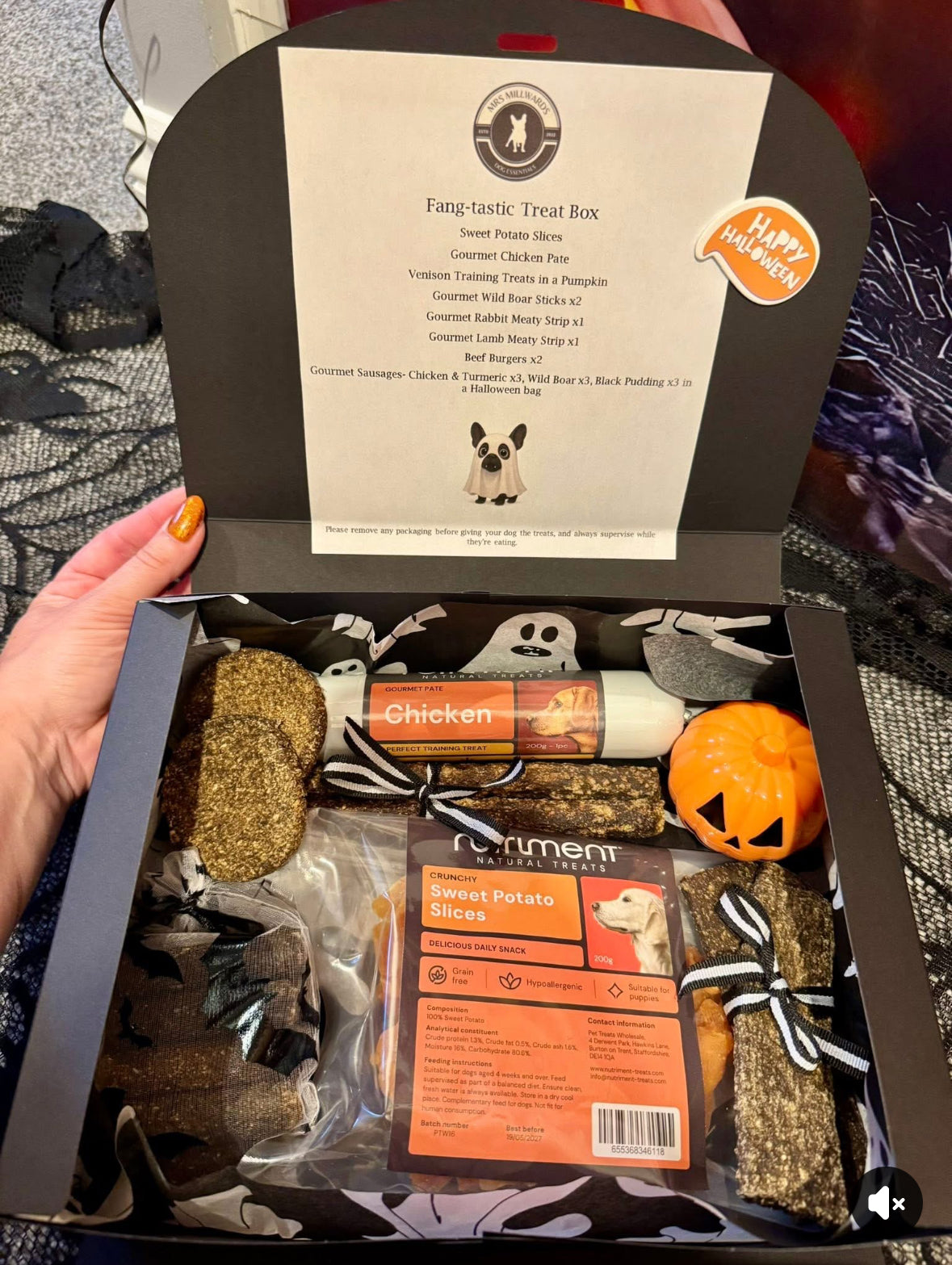 Fang-tastic Treat Box