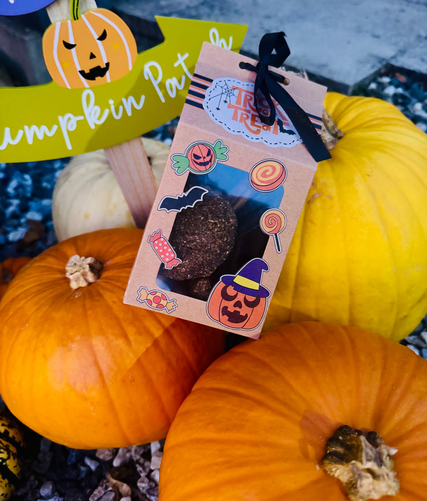 Trick or Treat Box