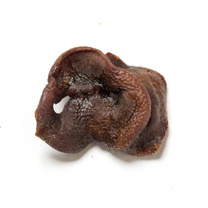 Pig Snouts - Natural