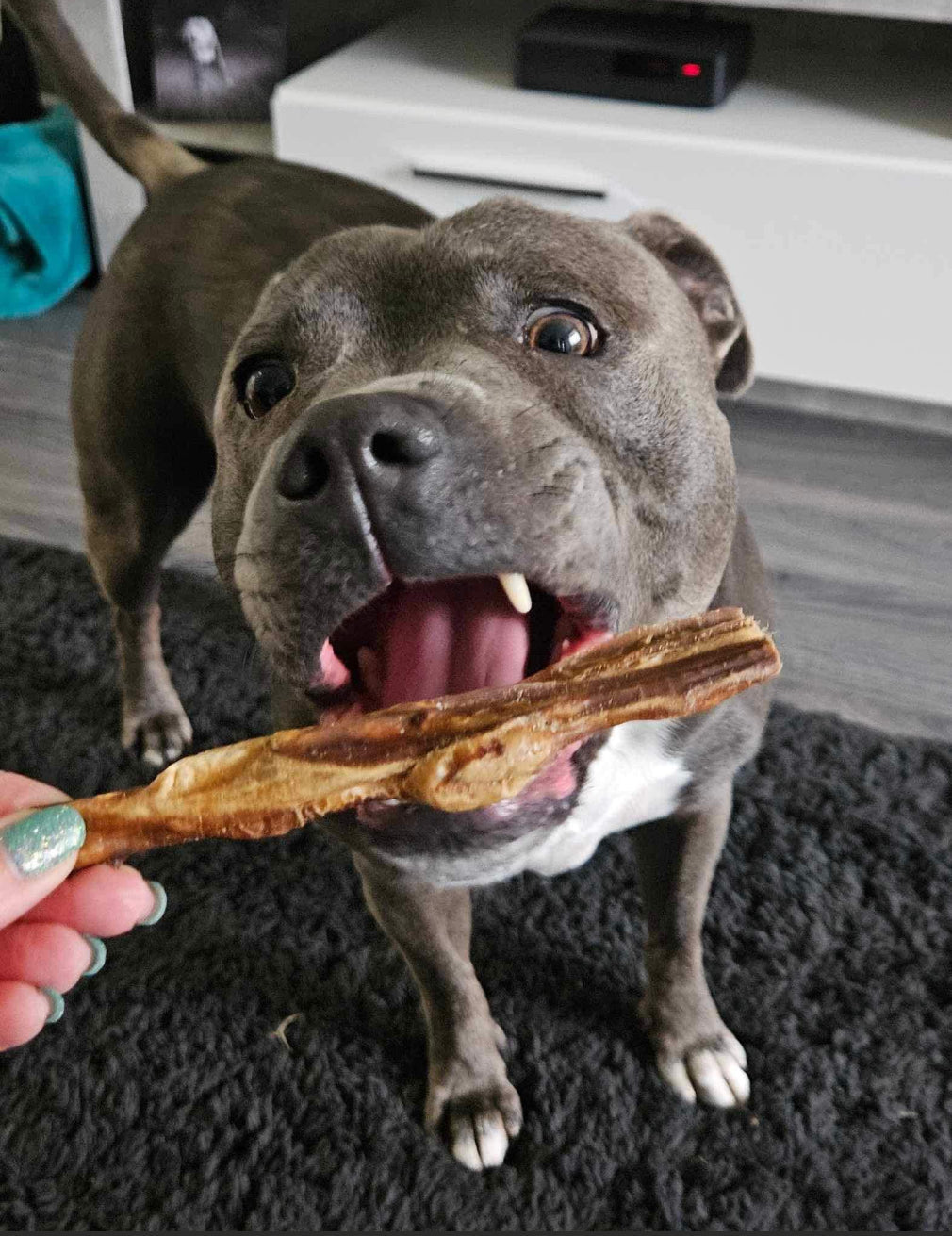 Classic Natural Dog Treats