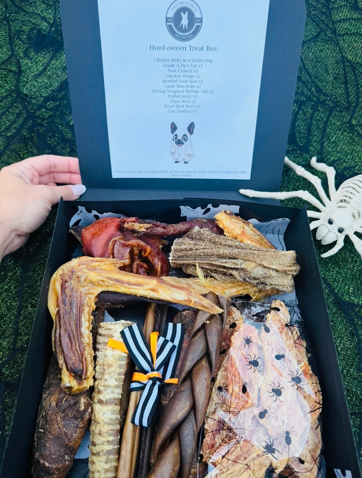 Howl-Oween Treat Box
