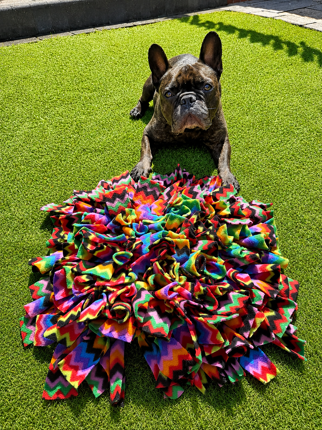Standard Snuffle Mat