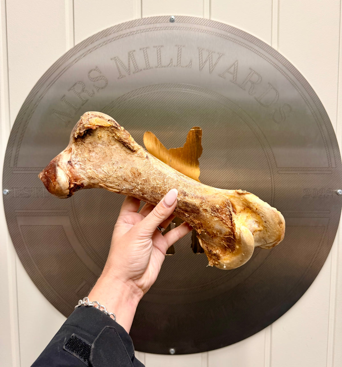Ostrich Dino Bone