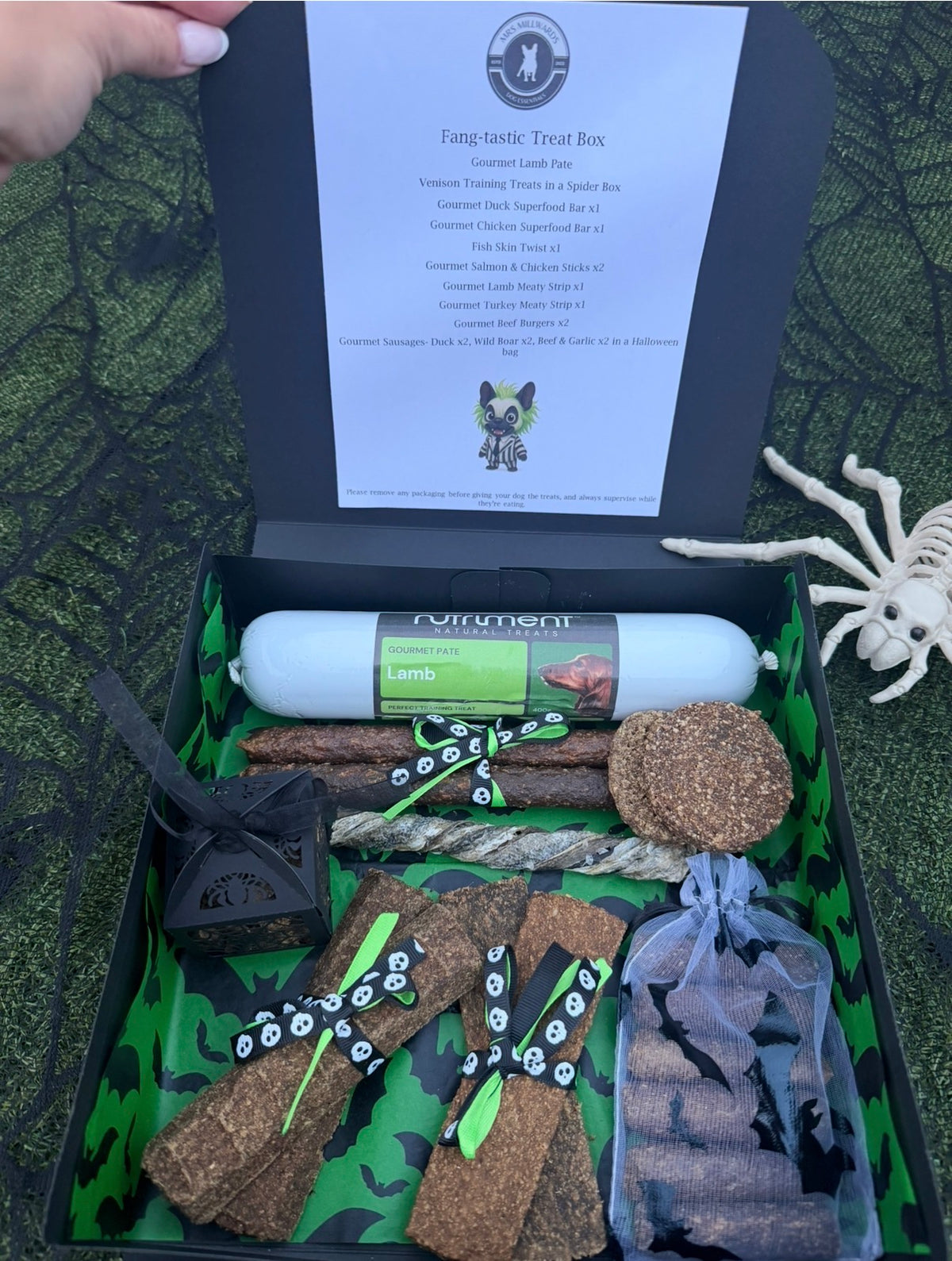 Fang-Tastic Gourmet Treat Box