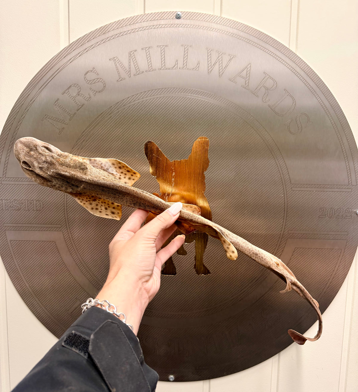 Whole Dogfish