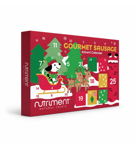 Fishmas Advent Calendar 2026