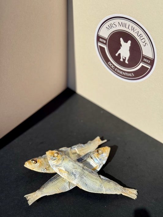 Large Dried Sprats