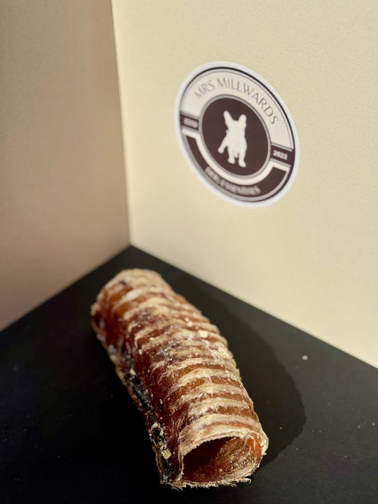 Trachea "Gullet" - Cut