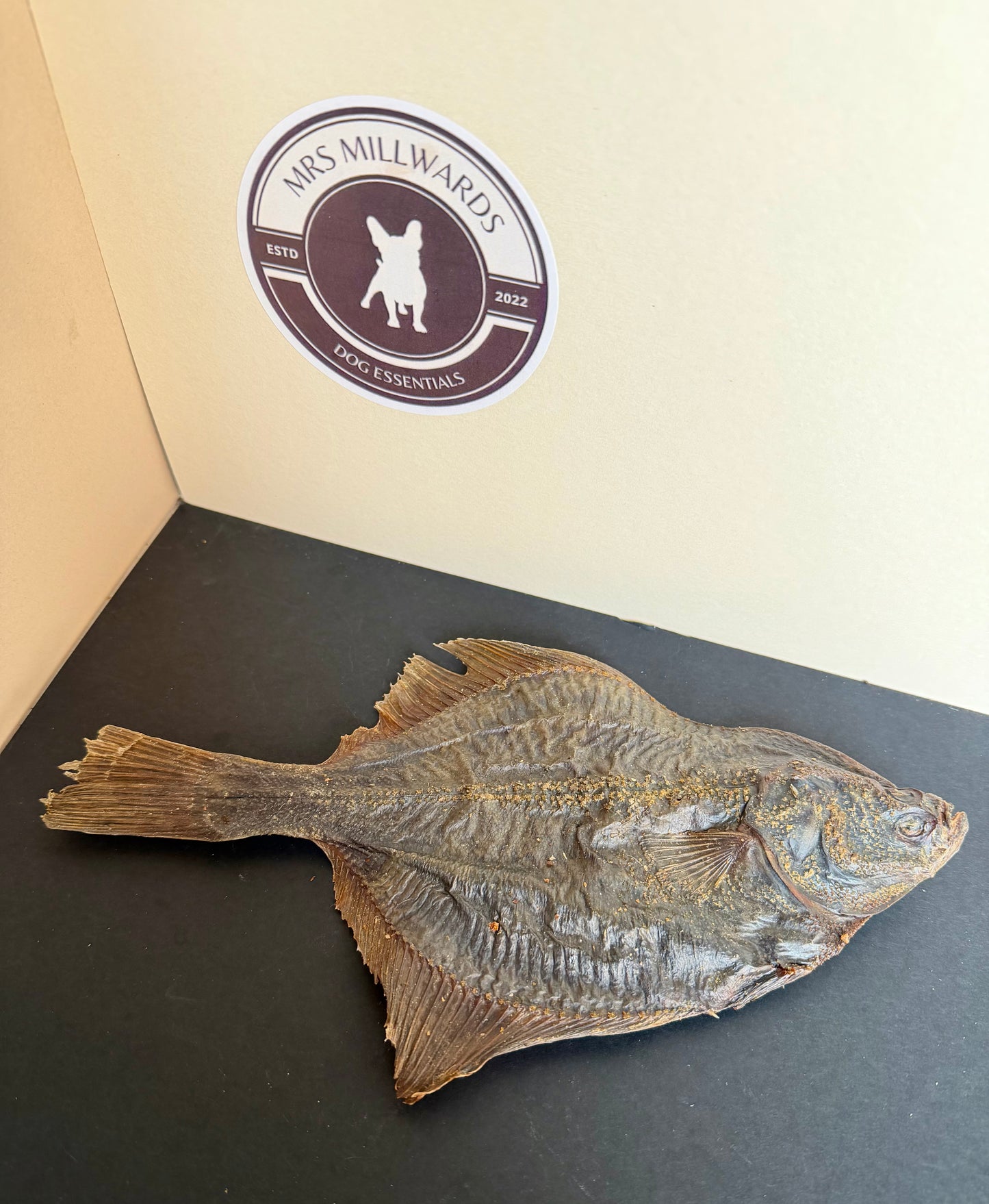 Flounder Fish