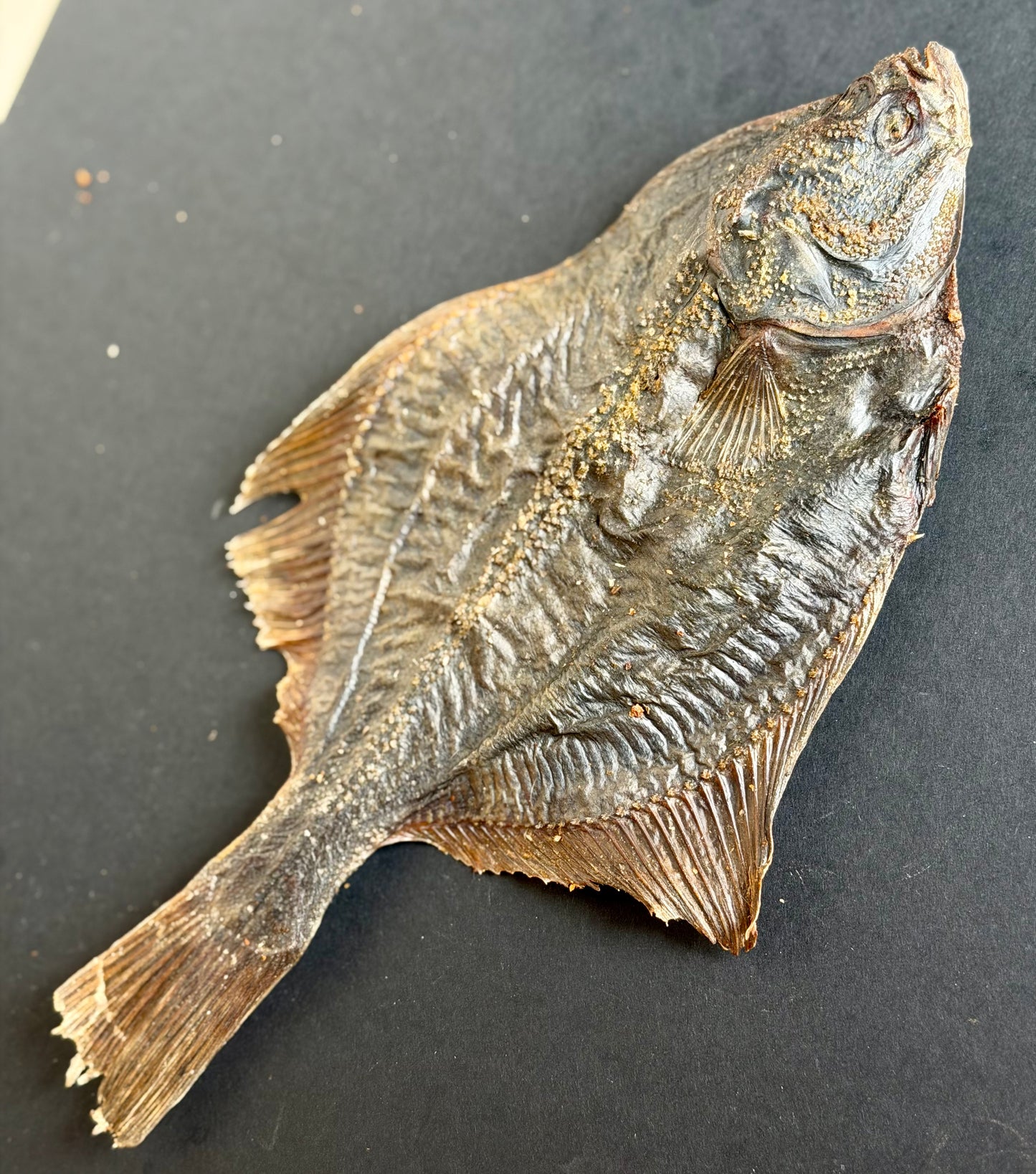 Flounder Fish