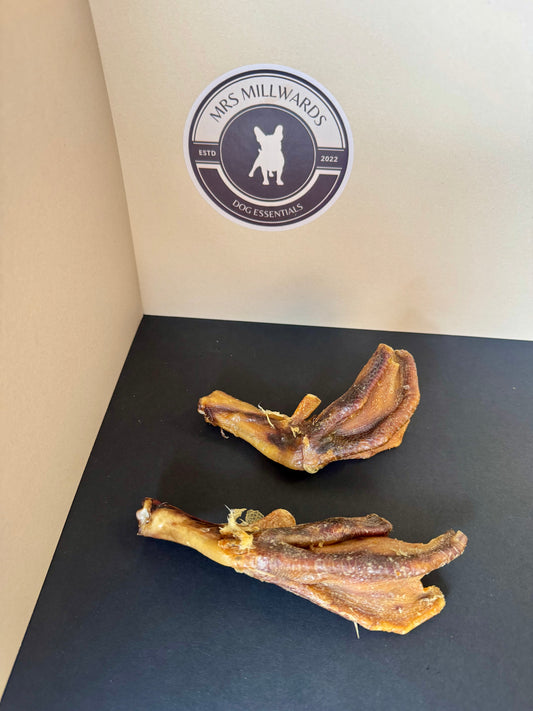 Duck Feet