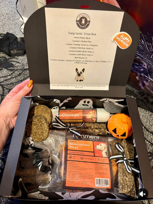 Fang-tastic Treat Box