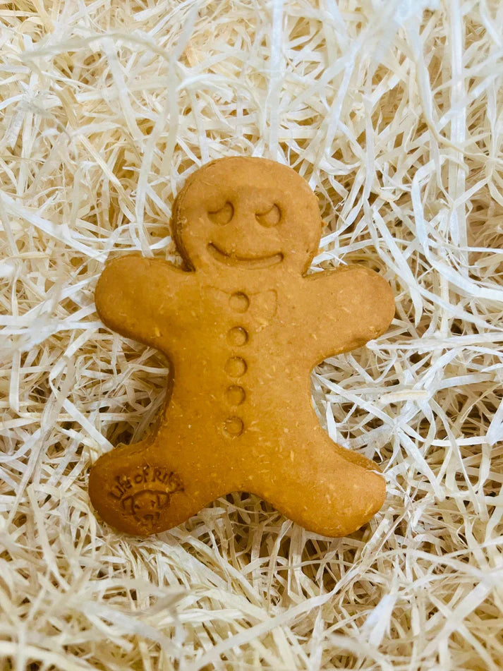 Gingerbread Man